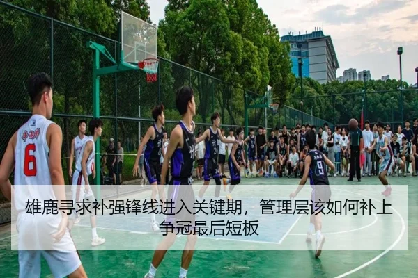 雄鹿寻求补强锋线进入关键期，管理层该如何补上争冠最后短板